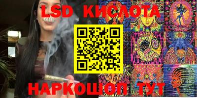 соль ск Новодвинск